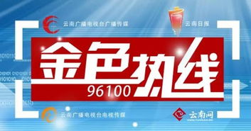 王喜良市長做客金色熱線，共話昆明網絡技術轉讓新機遇